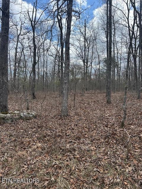 8949 Pima Dr, Crossville, TN 38572 - photo 2