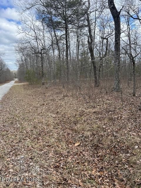 8949 Pima Dr, Crossville, TN 38572 - photo 3
