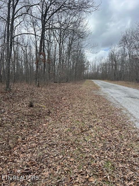 8949 Pima Dr, Crossville, TN 38572 - photo 4