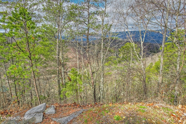 Mountain Ridge Way, Sevierville TN, 37862 land for sale