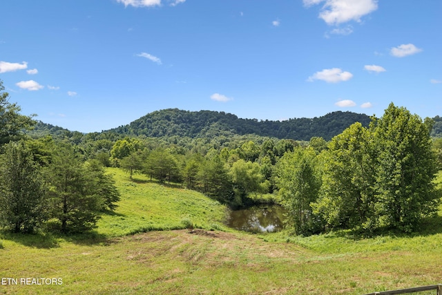 153 Martingale Way, Maryville, TN 37801 - photo 54