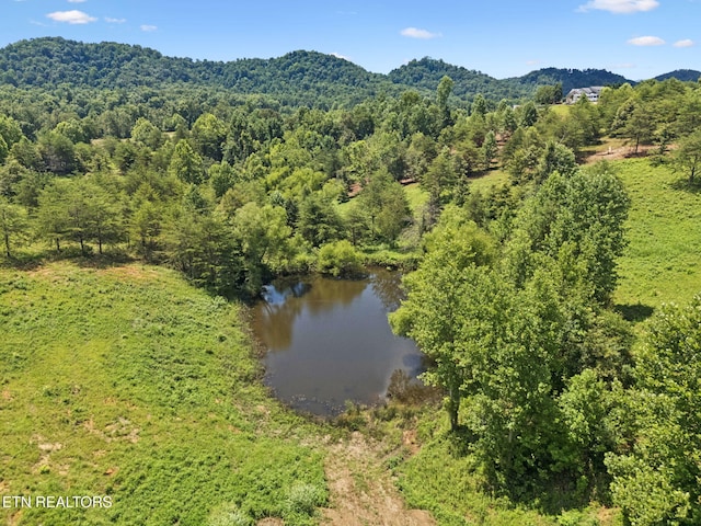 153 Martingale Way, Maryville, TN 37801 - photo 53