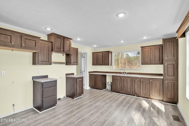 kitchen with light hardwood / wood-style flooring, sink, dark brown cabinetry, and a textured ceiling