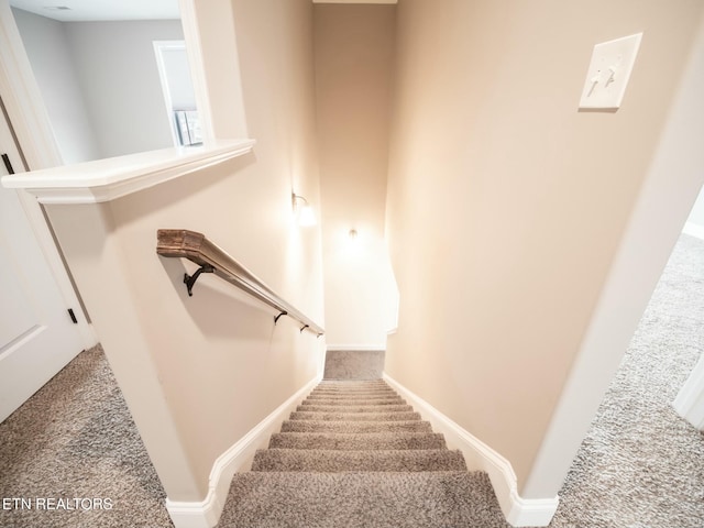 stairway featuring carpet floors