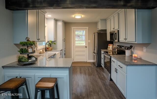 kitchen with a peninsula, dark wood-style flooring, a sink, appliances with stainless steel finishes, and a kitchen bar