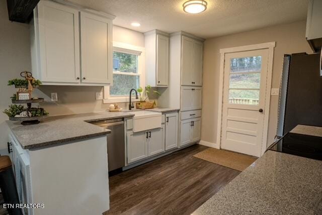 kitchen featuring dark wood-style floors, appliances with stainless steel finishes, a sink, and white cabinetry