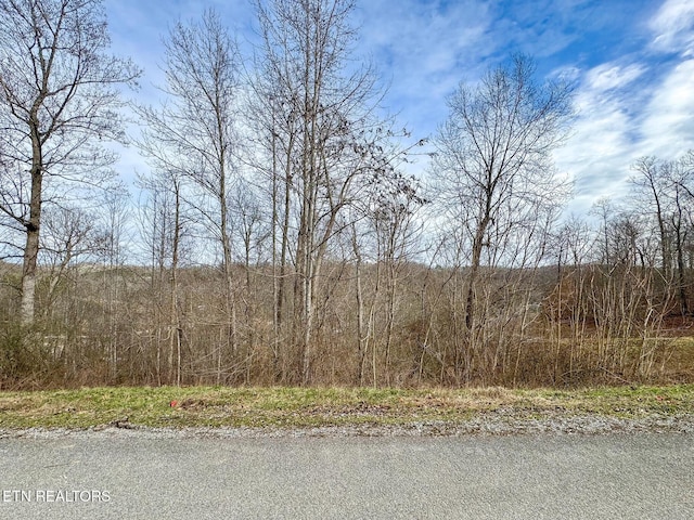 Listing photo 2 for Suncrest Cv, Lafollette TN 37766