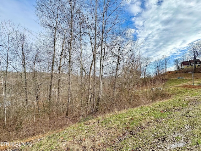 Listing photo 3 for Suncrest Cv, Lafollette TN 37766