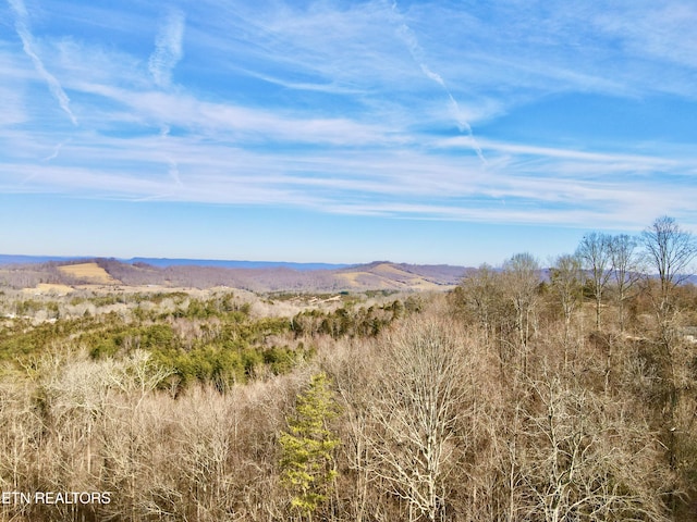 TBD Rufus Coffey Ln, Thorn Hill TN, 37881 land for sale