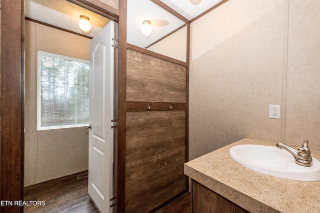 bathroom featuring vanity and wood-type flooring