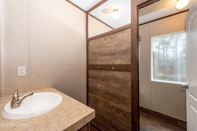 bathroom with hardwood / wood-style flooring and sink