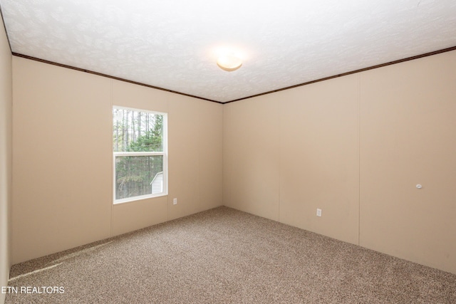 carpeted spare room featuring crown molding and a textured ceiling