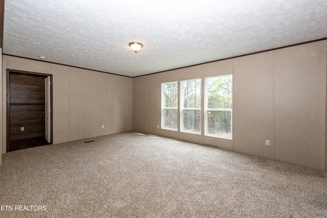 carpeted empty room with crown molding and a textured ceiling