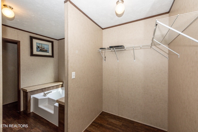 spacious closet with dark wood-type flooring