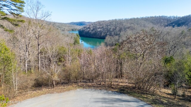 Chapman Ln, Jacksboro, TN 37757
