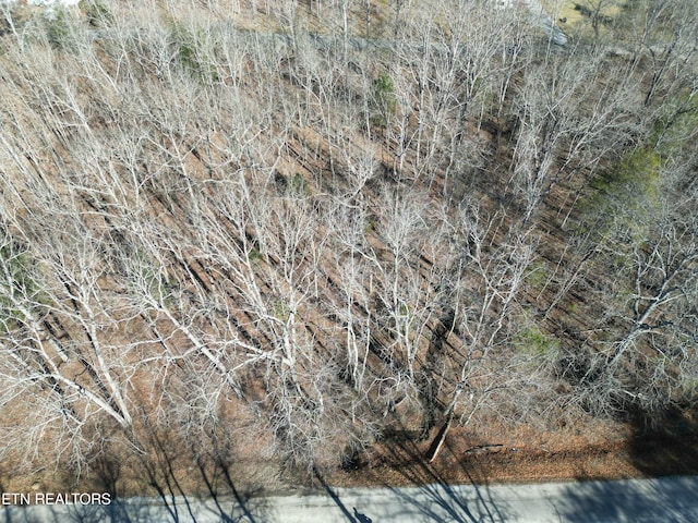 1045 Redwing Dr, Crossville, TN 38572 - photo 4