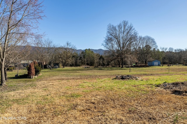 view of yard with a mountain view and a rural view