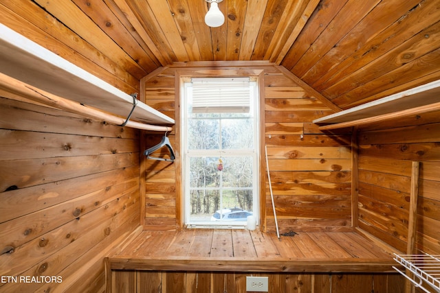 spacious closet featuring vaulted ceiling