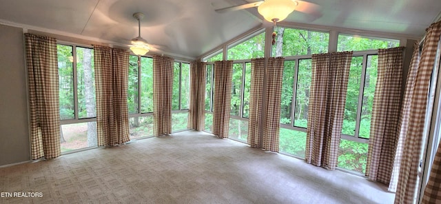 unfurnished sunroom with a healthy amount of sunlight, lofted ceiling, and ceiling fan