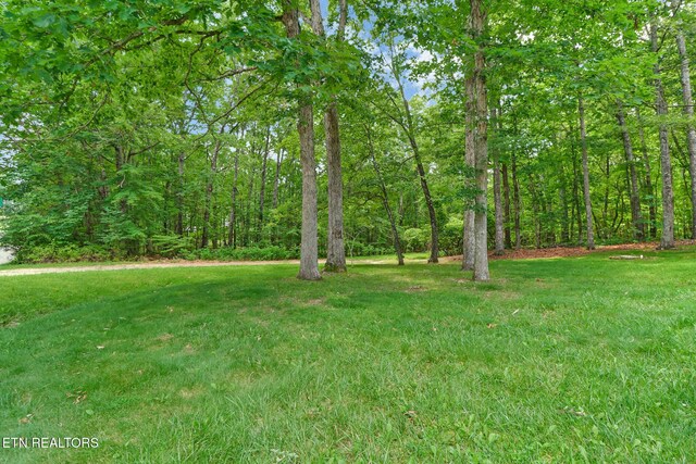 104 Glenwood Dr, Crossville, TN 38558 - photo 36