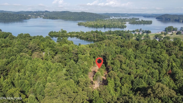 132 Hart Orch, Kingston, TN 37763 - photo 19