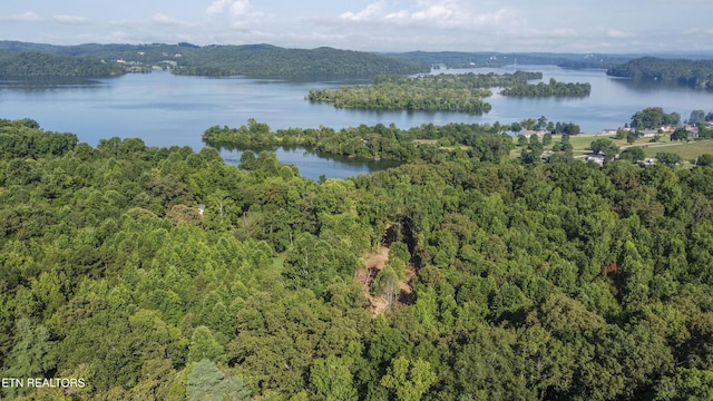 132 Hart Orch, Kingston, TN 37763 - photo 33