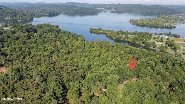 132 Hart Orch, Kingston, TN 37763 - photo 34