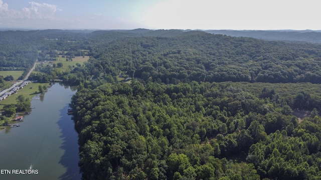 132 Hart Orch, Kingston, TN 37763 - photo 36