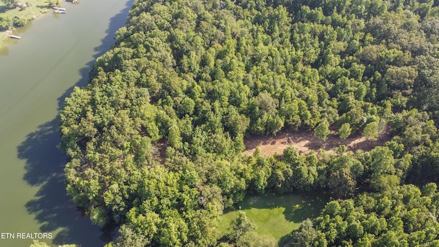 132 Hart Orch, Kingston, TN 37763 - photo 37