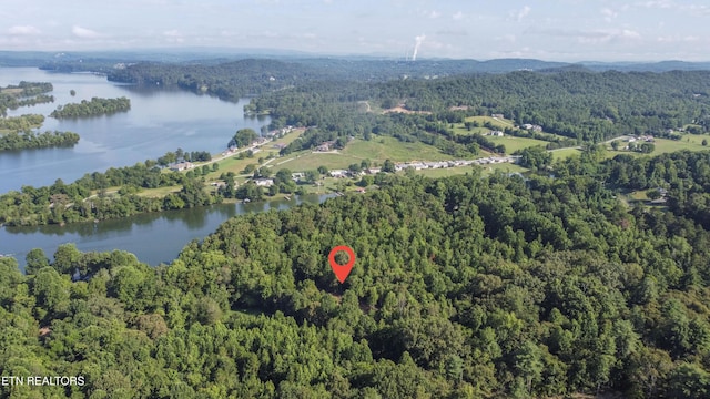 132 Hart Orch, Kingston, TN 37763 - photo 40