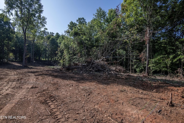 132 Hart Orch, Kingston, TN 37763 - photo 8