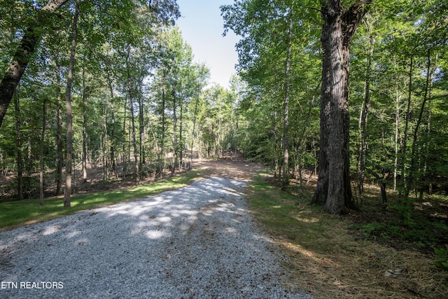 132 Hart Orch, Kingston, TN 37763 - photo 7