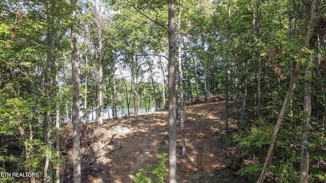 132 Hart Orch, Kingston, TN 37763 - photo 9