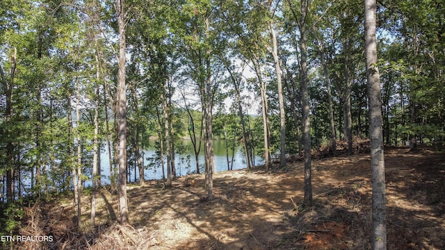 132 Hart Orch, Kingston, TN 37763 - photo 10