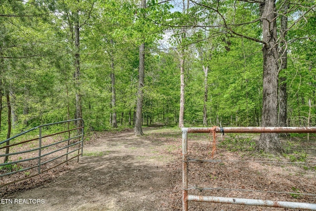 view of yard featuring a forest view and a gate