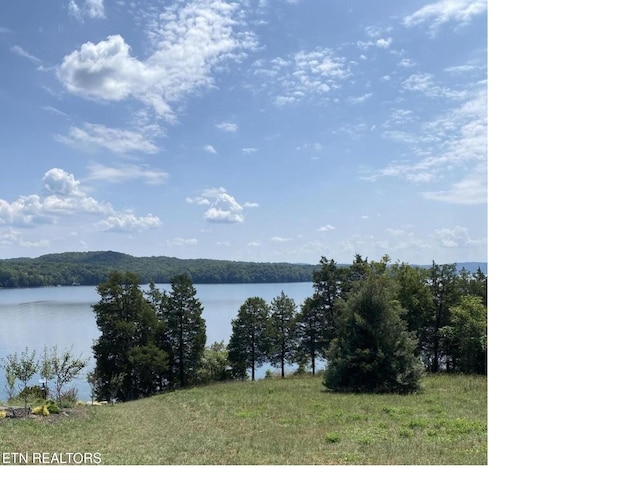 LOT9192 Serenity Dr, Harriman TN, 37748 land for sale