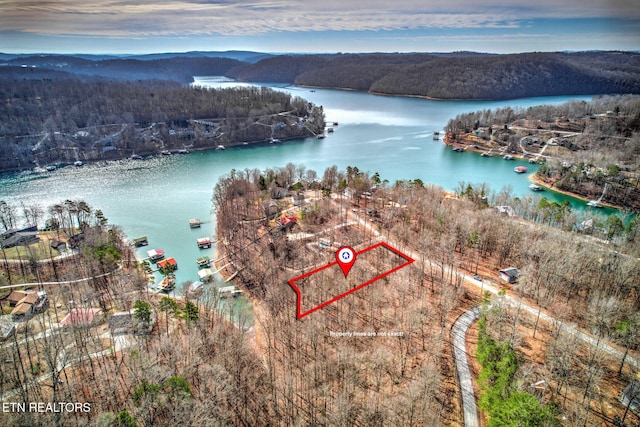 Big Creek Ln, Lafollette TN, 37766 land for sale