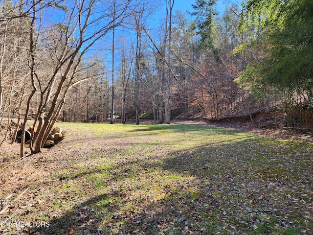 Listing photo 3 for 527 Smokey Branch Rd, Vonore TN 37885