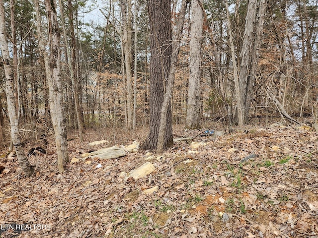 Listing photo 2 for LOT6 Lynn Dr, Maynardville TN 37807