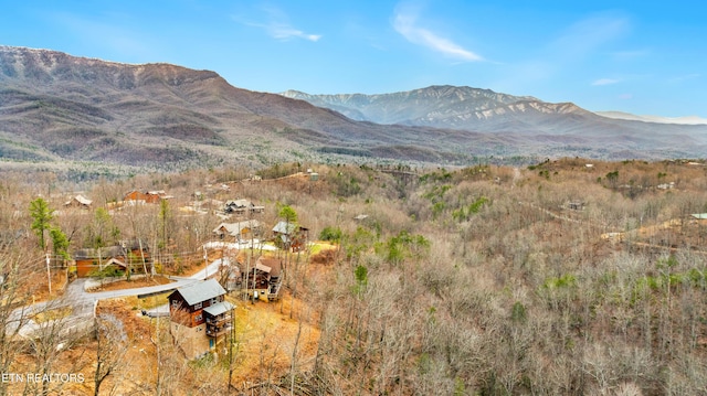 property view of mountains