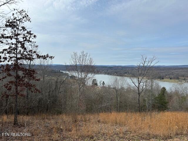 Listing photo 2 for NO James Ferry Rd, Kingston TN 37763