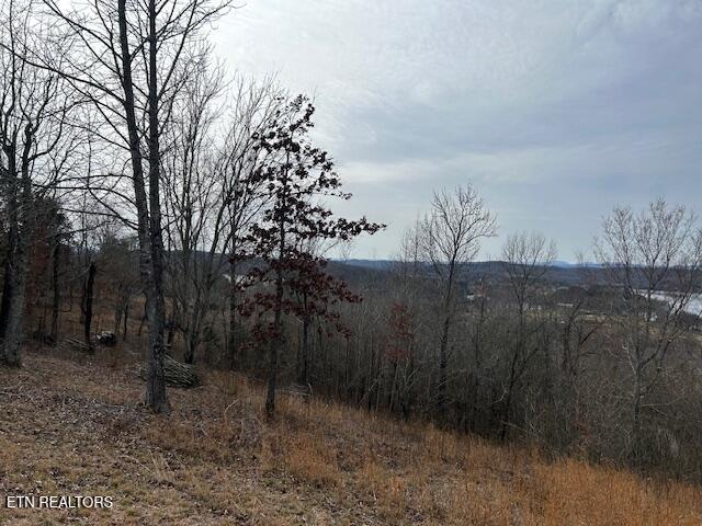 Listing photo 3 for NO James Ferry Rd, Kingston TN 37763