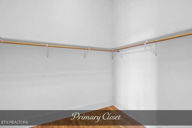 walk in closet featuring wood finished floors