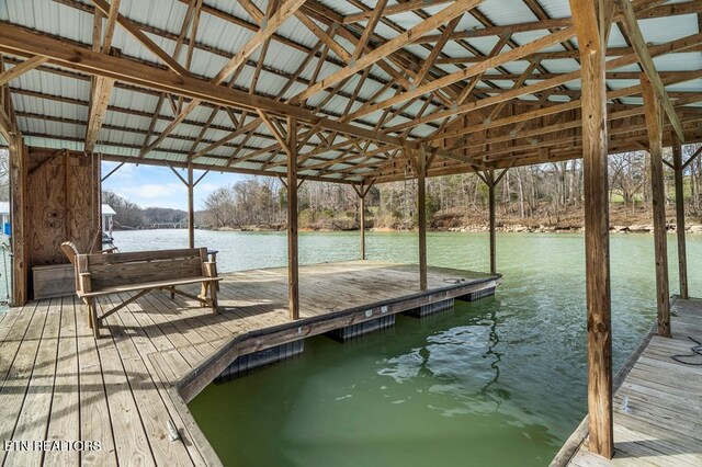 dock area with a water view