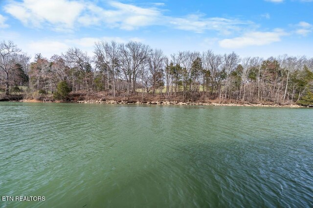 property view of water with a forest view