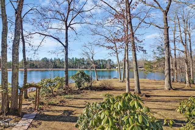 view of water feature