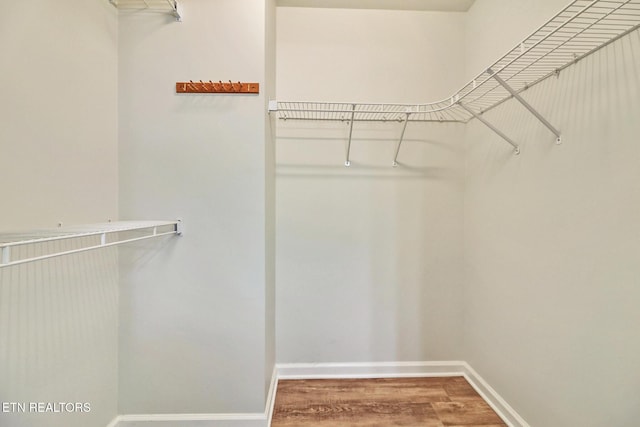 spacious closet featuring wood finished floors