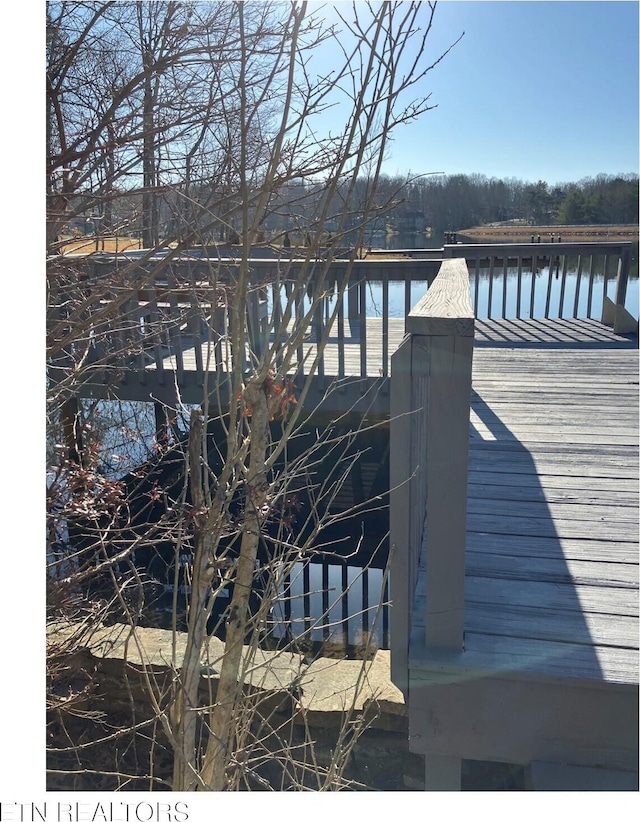 dock area with a water view
