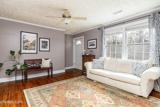 319 Hermitage Dr, Knoxville, TN 37920 - photo 12