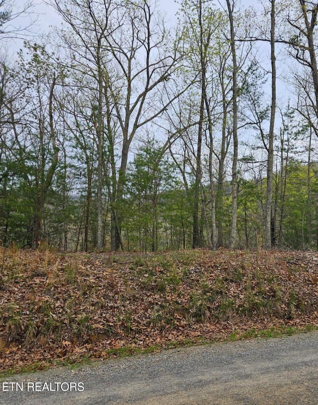 Hickory, Sevierville TN, 37876 land for sale